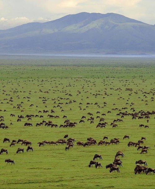 4 Days Ngorongoro crater safari